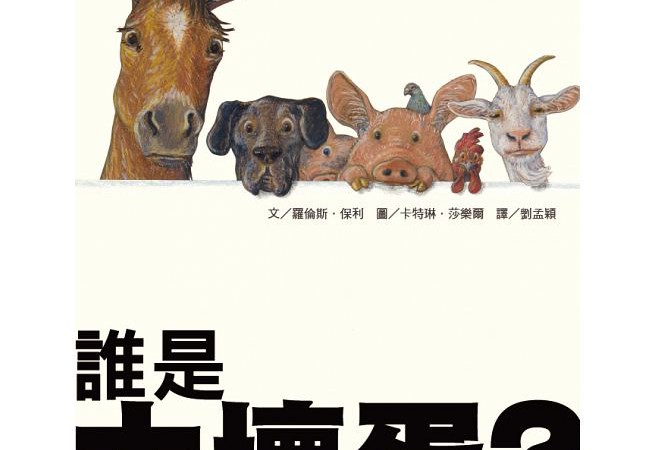 誰是大壞蛋_封面